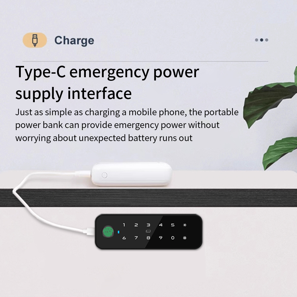 Tuya Bluetooth Smart Houten Ka - Furniture Home Hardware recensie en prijs
