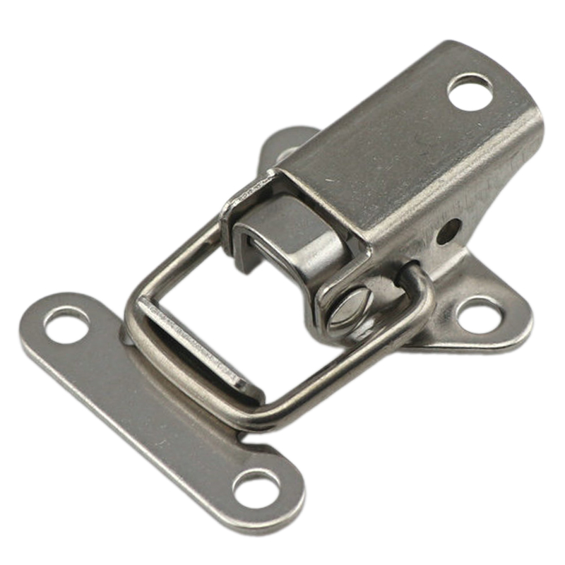 1/4 Stuks Rvs Mini Gesp Kastde - Furniture Hardware Latch recensie en prijs
