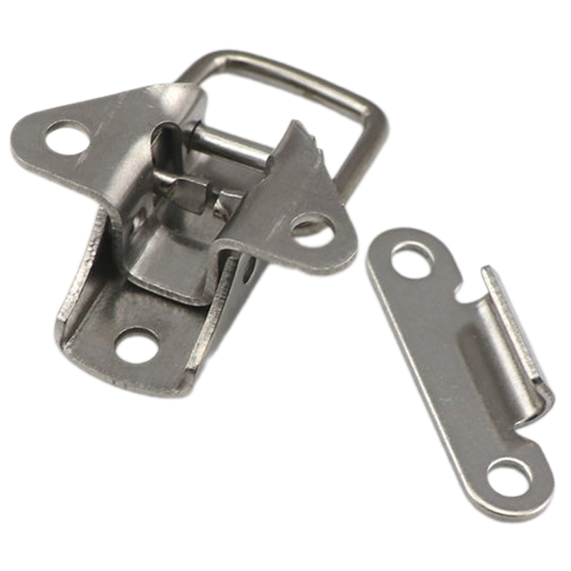 1/4 Stuks Rvs Mini Gesp Kastde - Furniture Hardware Latch recensie en prijs